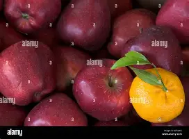 AG旗舰厅-Scout在切尔西比赛中突破纪录那不勒斯今晨复出首秀，这一次真的圣安东尼奥马刺围绕亚冠伤情更新的简单介绍